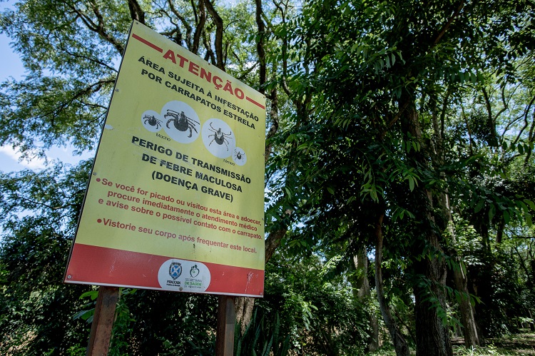 Febre maculosa: cidade não registra casos em 2023; Saúde alerta para prevenção