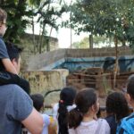 Zoológico de Piracicaba comemora 52 anos com programação especial; confira