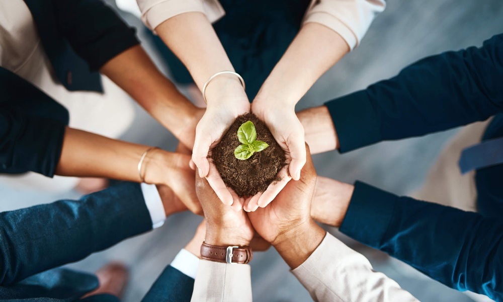 Os Benefícios da Educação Ambiental para a Sustentabilidade