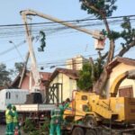 Dados atualizados mostram que Piracicaba registrou queda de 120 árvores em decorrência do temporal