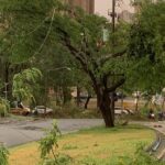 CPFL trabalha para restabelecer fornecimento de energia nos bairros afetados pelas fortes chuvas de ontem (27), em Piracicaba