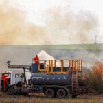 Raízen diz ao PIRANOT que controlou incêndio em canavial de Piracicaba; leia nota