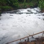 Despejo irregular de esgoto da ETE de Iracemápolis em ribeirão de Piracicaba é novamente constatado pela guarda