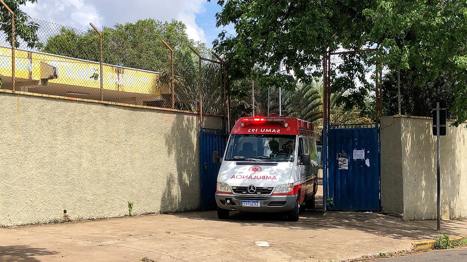 Foto: Wagner Romano / PIRANOT