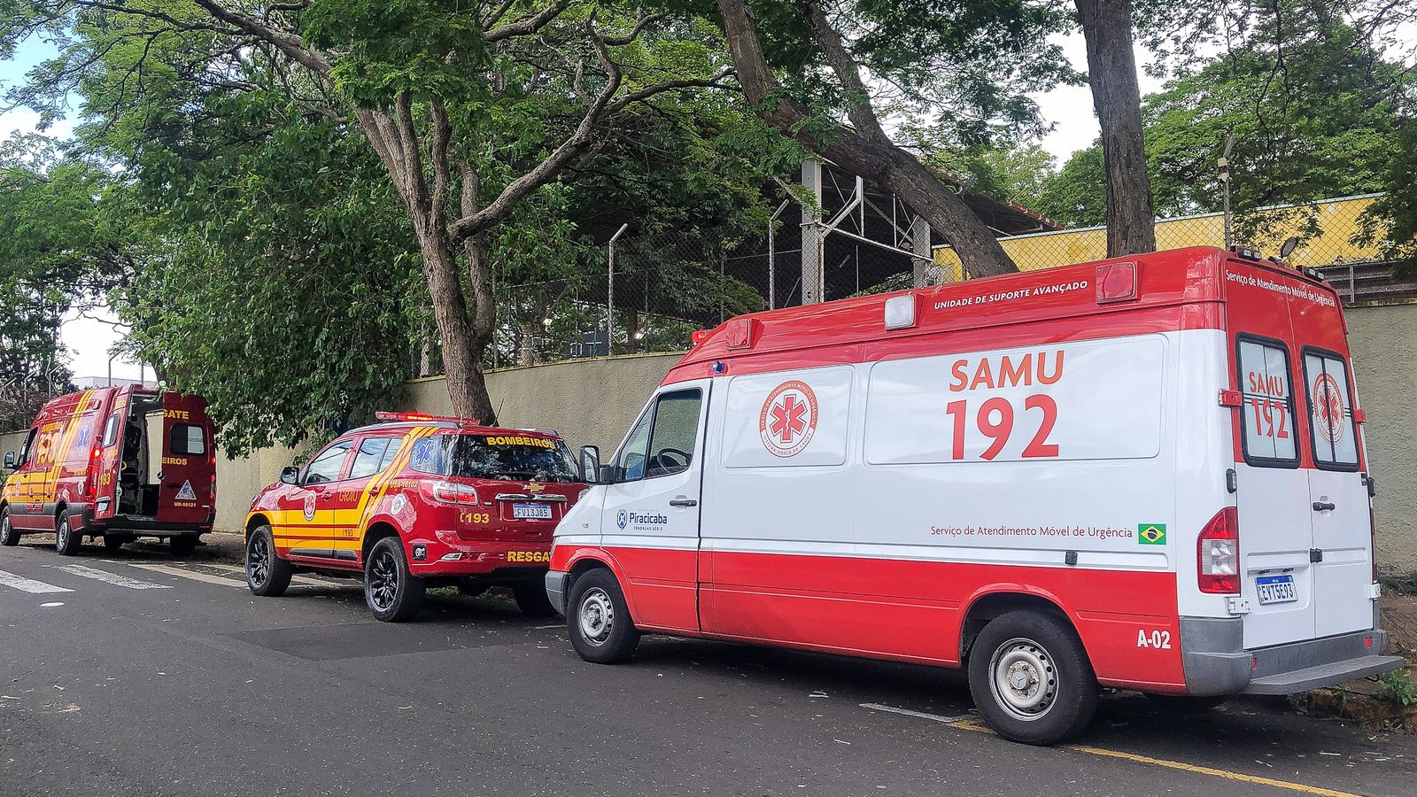 Foto: Wagner Romano / PIRANOT