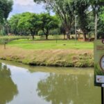 Quarto caso de febre maculosa é confirmado em Piracicaba (SP) em 2023