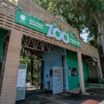 Diversas atividades gratuitas para as férias de janeiro são oferecidas em Piracicaba (SP); saiba mais