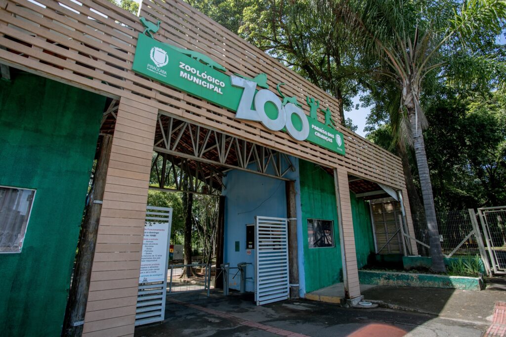 Diversas atividades gratuitas para as férias de janeiro são oferecidas em Piracicaba (SP); saiba mais