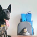 Guarda Civil de Piracicaba apreende menor com mais de 100 porções de crack e maconha