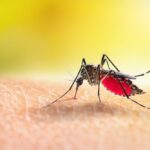 Piracicaba registra quinto óbito por dengue em 2025