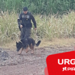 Cão farejador aponta possível local onde diretor de escola desaparecido em Piracicaba pode estar