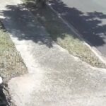 VÍDEO | Homem tenta matar cachorro pelo portão de residência em Piracicaba (SP)