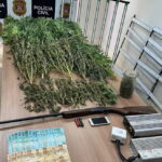 Traficante é preso pela Polícia Civil vendendo espécie de ‘super maconha’ em Piracicaba