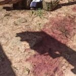 Mulher socorrida em estado grave foi agredida violentamente e teve maxilar quebrado em Piracicaba