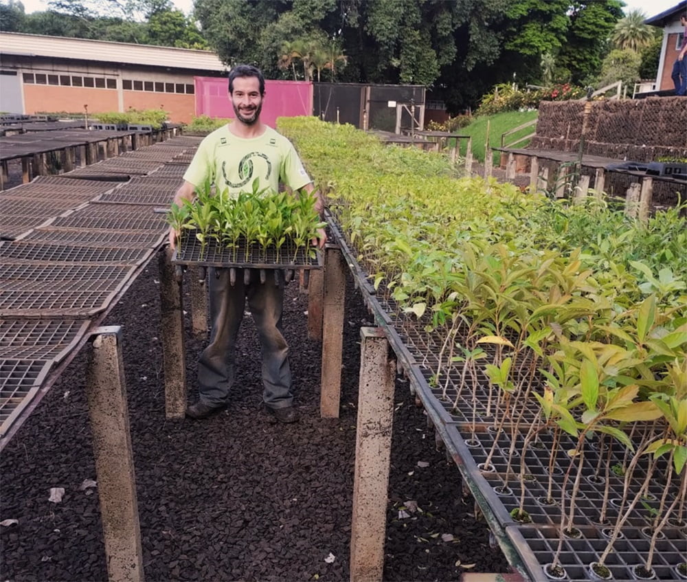 Projeto da Esalq com a Petrobras em Piracicaba refloresta mais de 115 hectares de terra