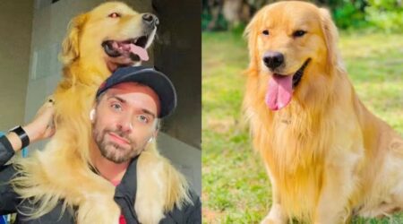 Cachorro morre após ser enviado por companhia aérea para destino errado