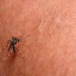 Piracicaba confirma terceiro caso da doença Chikungunya em 2024