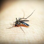 Piracicaba confirma 13ª morte por dengue em 2024