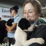 FEIRINHA ADOTE UM PET: Delta Supermercados realiza mais uma edição no próximo fim de semana em Piracicaba