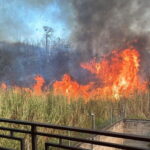 Incêndio de grandes proporções em terreno próximo a condomínio residencial preocupa moradores em Piracicaba