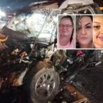 Boi na pista causa grave acidente com três mortes no interior paulista