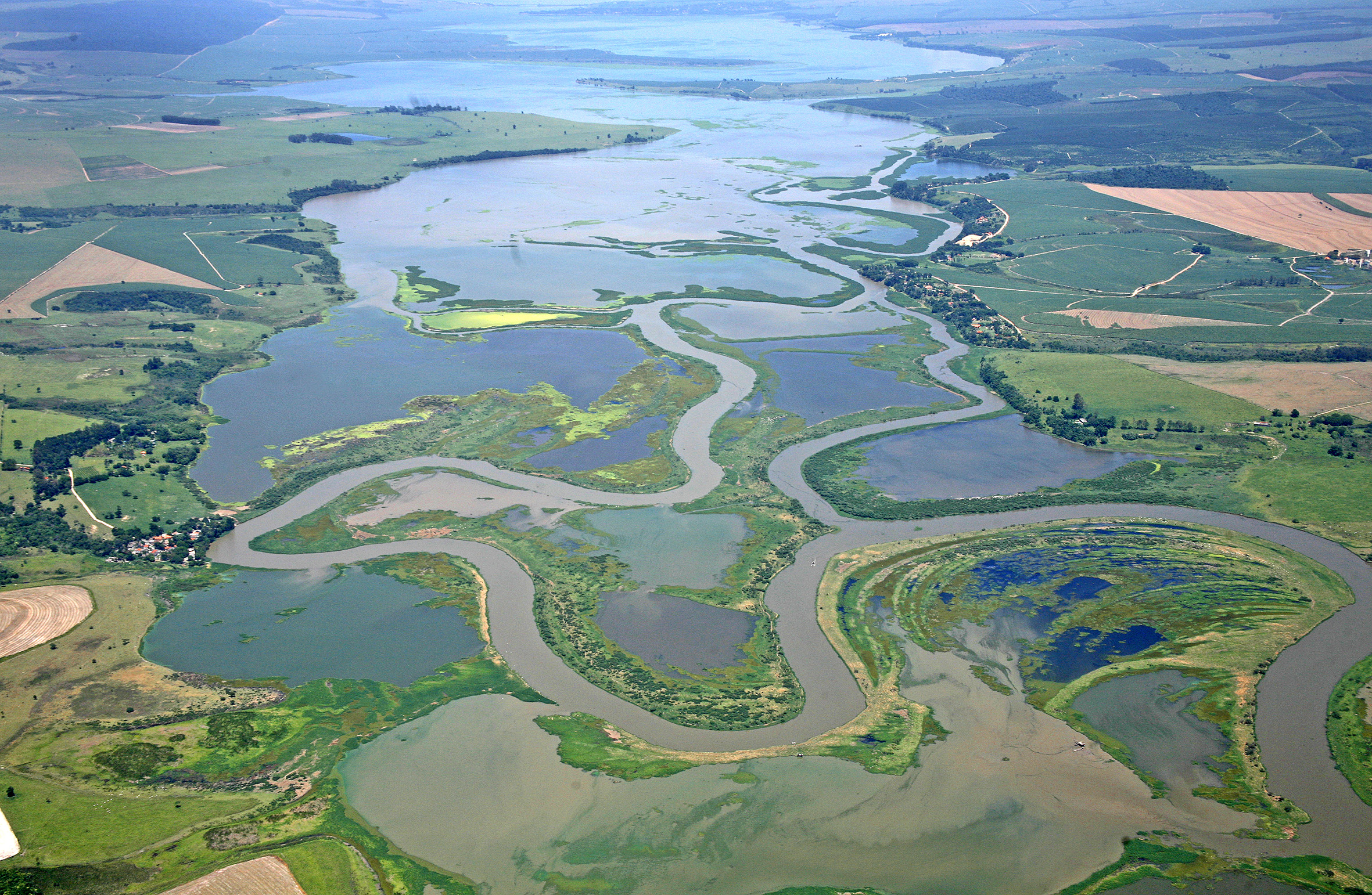 Pescadores atingidos por tragédia no rio Piracicaba terão juros anual de empréstimos com o Governo de São Paulo reduzidos