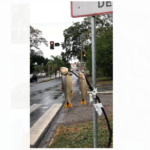 Peixes mortos são colocados na rotatória da Prefeitura; crime coincidiu com a Festa do Divino e registro de católicos ‘chocou’ Piracicaba