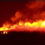 Música “Incêndio no Canavial” reflete sobre a brutalidade do fogo na cana de açúcar, matéria prima do etanol