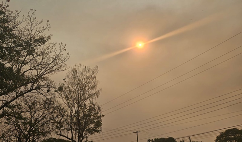 Foto: Andrey Moral/PIRANOT