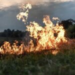 Grande incêndio atinge área de mata na região do Tanquã, o mini-pantanal piracicabano