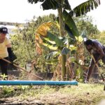 Comunidade de Piracicaba avança em projeto sustentável “Territórios da Agricultura”