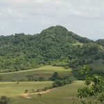 Reserva de Ibicatu ameaçada pelo fogo em Piracicaba conta com mais de 220 espécies de bichos, algumas em extinção
