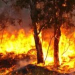 Raízen promove blitz em Rio das Pedras para alertar população sobre riscos de incêndios em tempo de evidência de mudanças climáticas