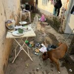 Cães e crianças em situação de maus-tratos são resgatados em canil clandestino em Piracicaba