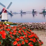 Partiu Turismo anuncia últimas viagens de setembro: Parque Maeda, Maria Fumaça e Expoflora