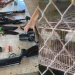Aves mortas, animais presos e armas ilegais são encontrados em escola na região de Piracicaba