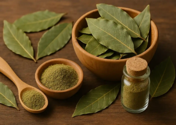 Como usar folhas de louro para dormir melhor e aliviar a ansiedade naturalmente