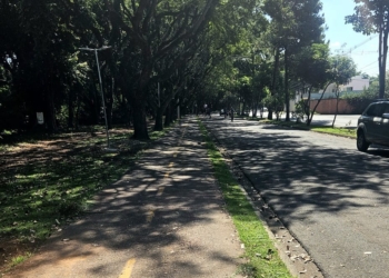 Foto: Andrey Moral/PIRANOT