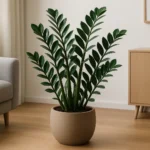 Zamioculca no Dia das Mães: como a planta da fortuna pode transformar o ambiente