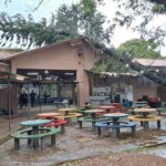Árvore cai sobre telhado de escola estadual em Piracicaba
