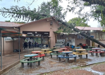 Árvore cai sobre telhado de escola estadual em Piracicaba