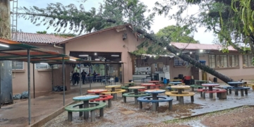 Árvore cai sobre telhado de escola estadual em Piracicaba
