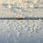 Vídeo: Piracicaba amanhece coberta por gelo em temperatura mais fria do ano