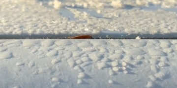 Vídeo: Piracicaba amanhece coberta por gelo em temperatura mais fria do ano