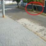 Pitbull solto ataca homens em Piracicaba; veja o vídeo