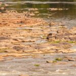 Falta de chuvas deixa Rio Piracicaba com níveis críticos e trechos praticamente secos