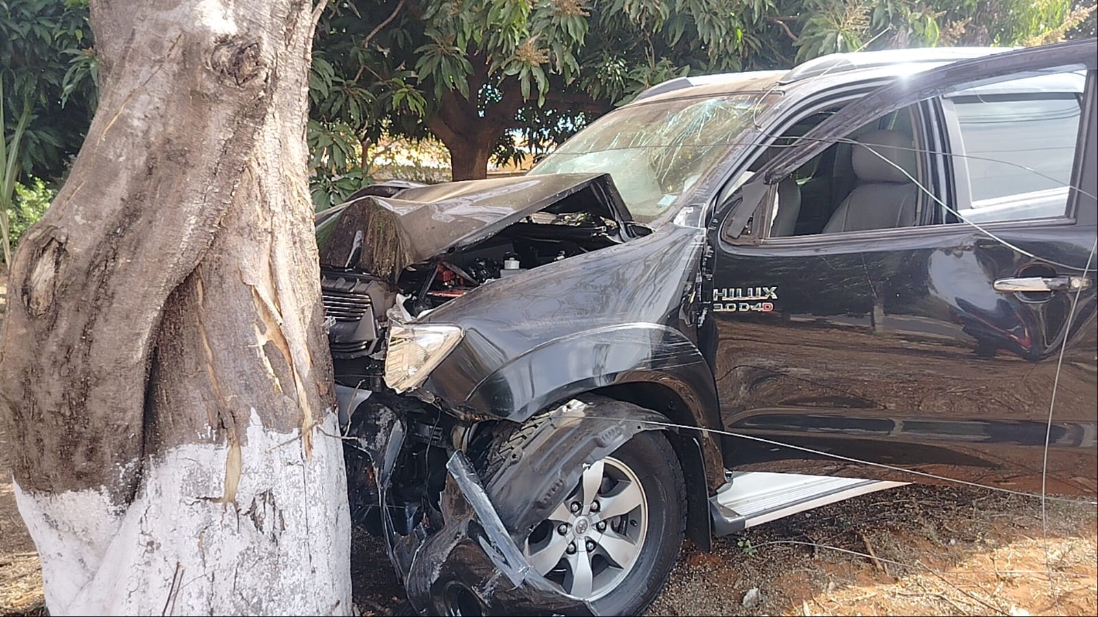 Aparentemente embriagado, motorista invade terreno e colide contra árvore em Piracicaba