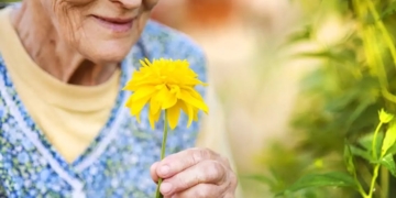Festa da Primavera do Lar dos Velhinhos acontece neste sábado (20) em Piracicaba