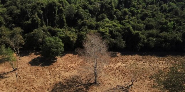 2023-01-04t011928z_1_lynxmpej0300u_rtroptp_3_brazil-environment
