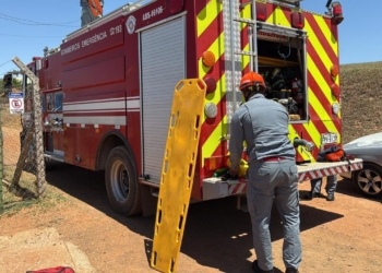 Parapente fica preso em árvore na rampa de São Pedro